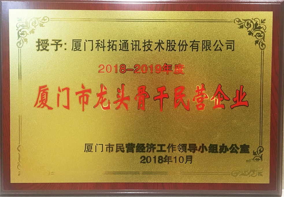 2018-2019年度 廈門市龍頭骨干民營企業(yè)